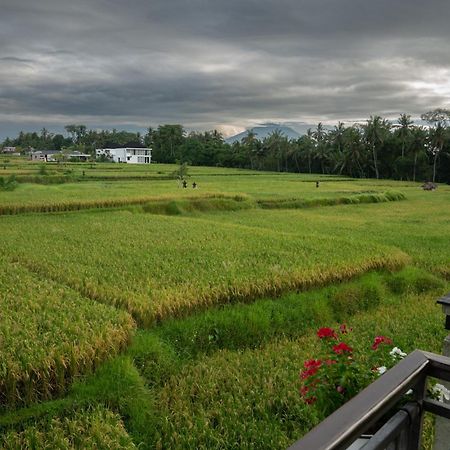 Ananditha Villa Ubud Ricefield Views Exteriör bild
