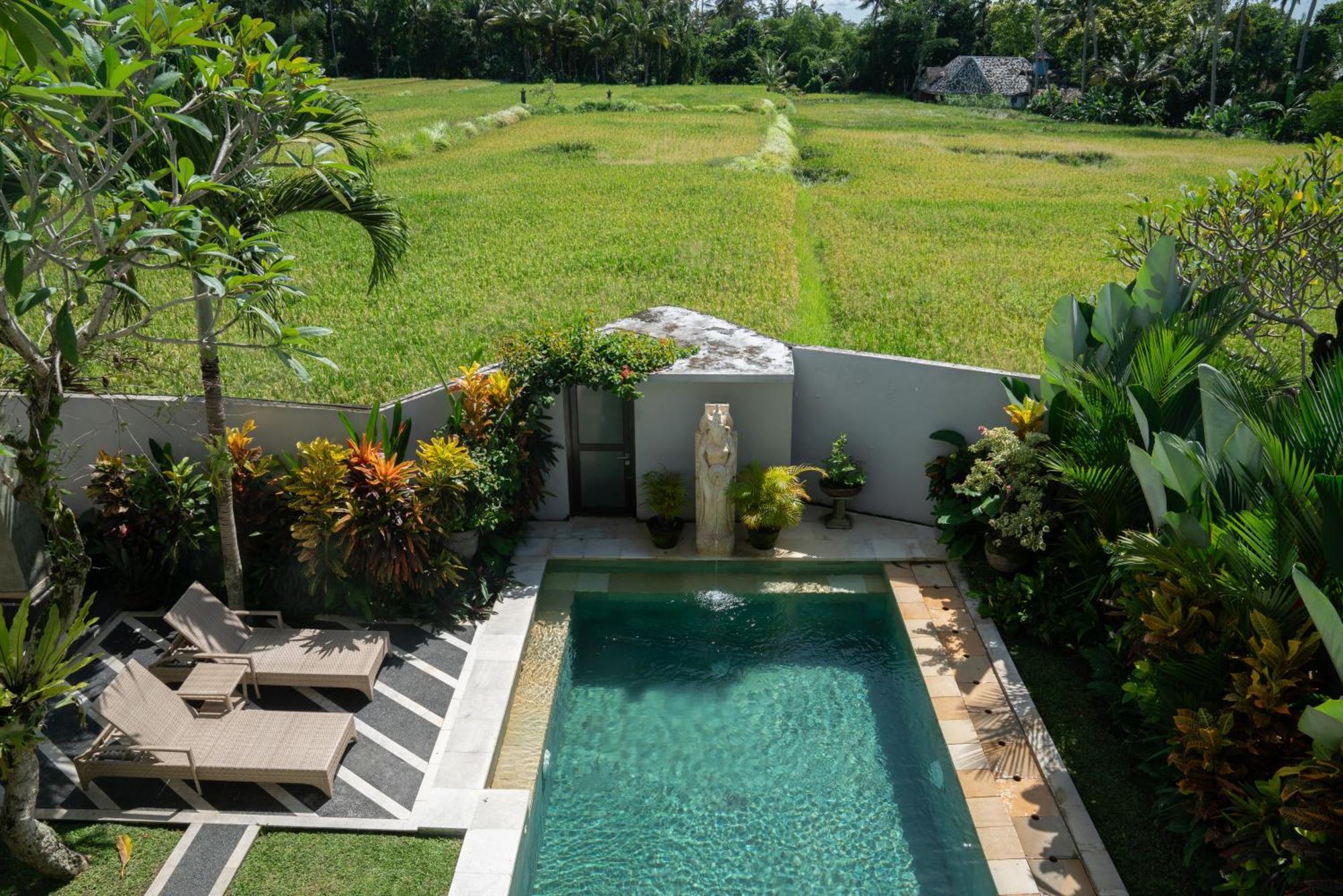 Ananditha Villa Ubud Ricefield Views Exteriör bild
