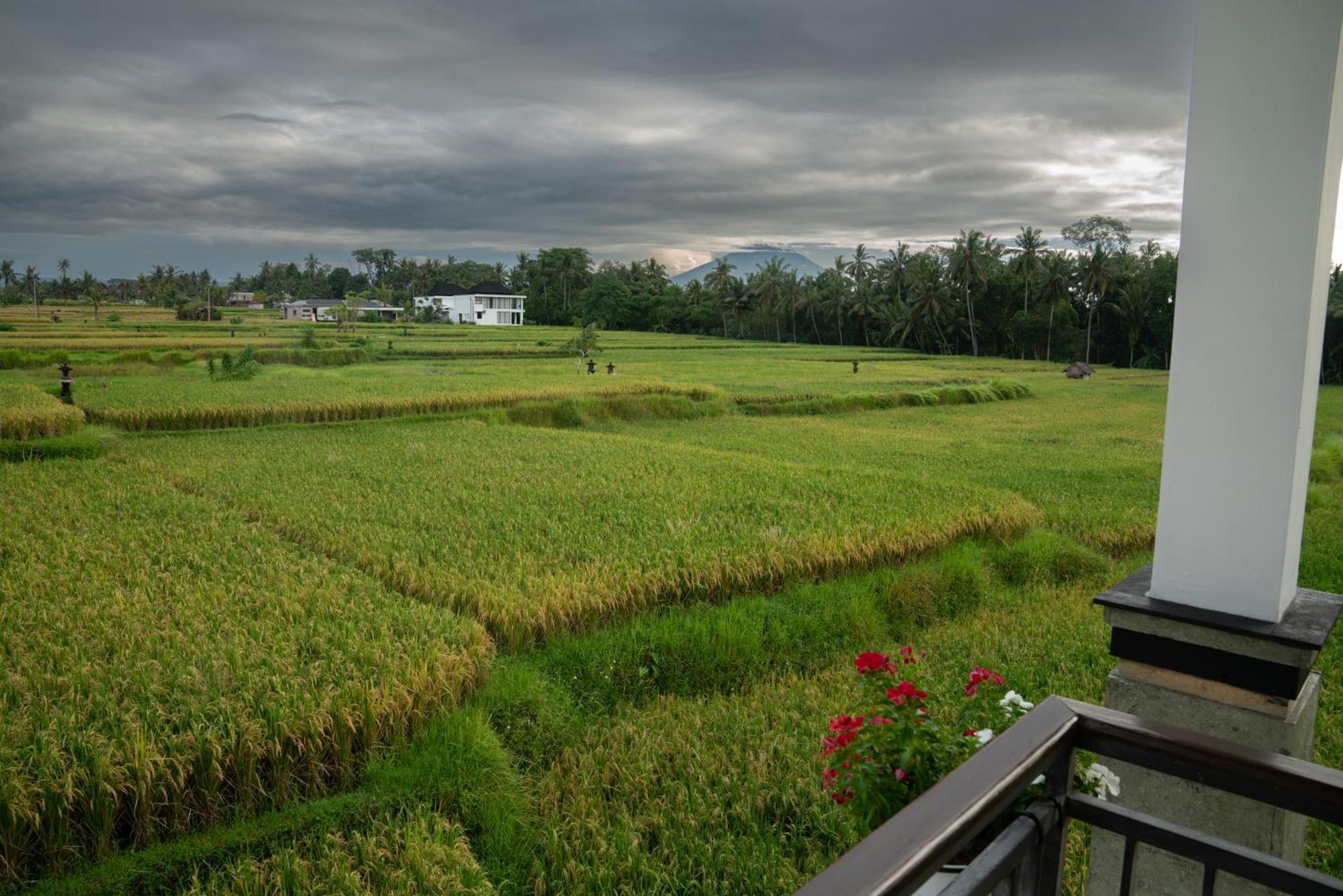 Ananditha Villa Ubud Ricefield Views Exteriör bild